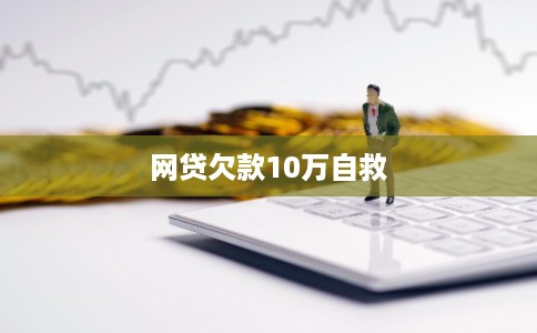 网贷欠款10万自救