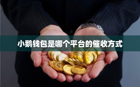 小鹅钱包是哪个平台的催收方式