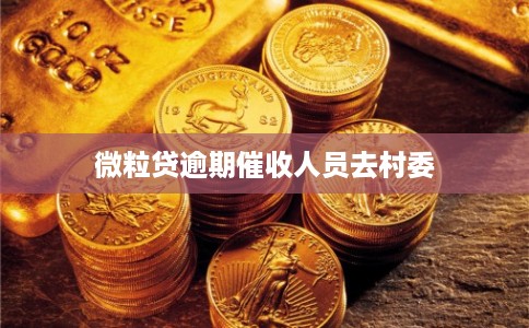 微粒贷逾期催收人员去村委