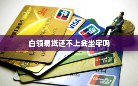白领易贷还不上会坐牢吗