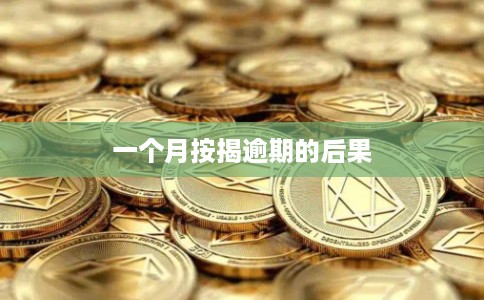一个月按揭逾期的后果
