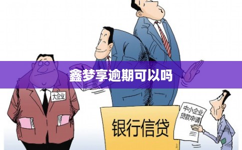 鑫梦享逾期可以吗