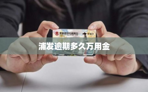 浦发逾期多久万用金