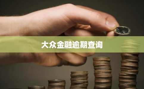 大众金融逾期查询