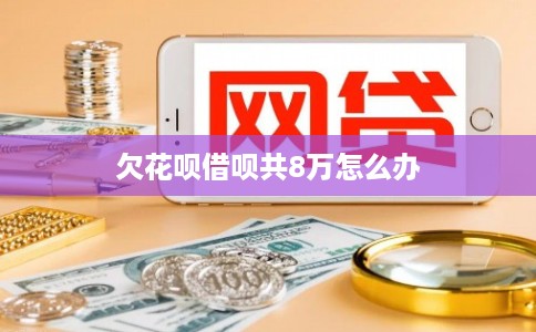 欠花呗借呗共8万怎么办