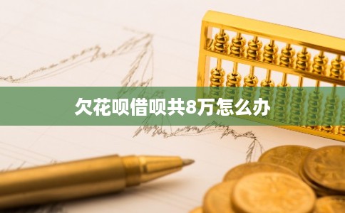 欠花呗借呗共8万怎么办