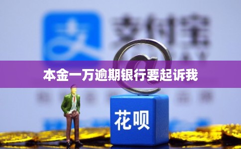 本金一万逾期银行要起诉我