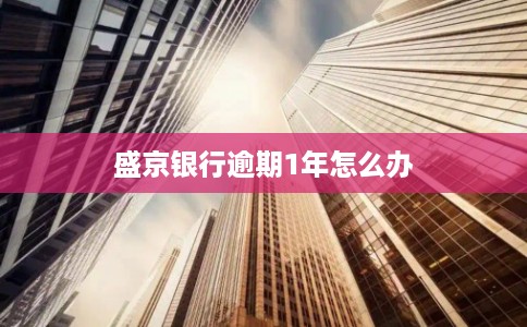 盛京银行逾期1年怎么办