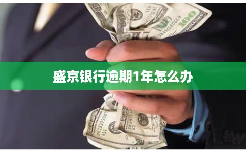 盛京银行逾期1年怎么办