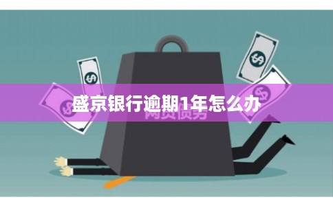 盛京银行逾期1年怎么办