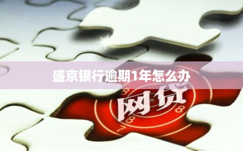 盛京银行逾期1年怎么办