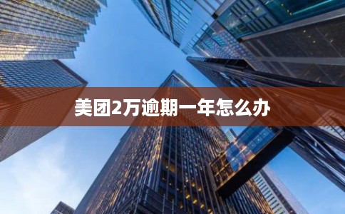 美团2万逾期一年怎么办