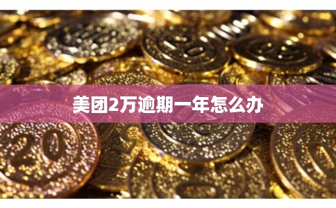 美团2万逾期一年怎么办