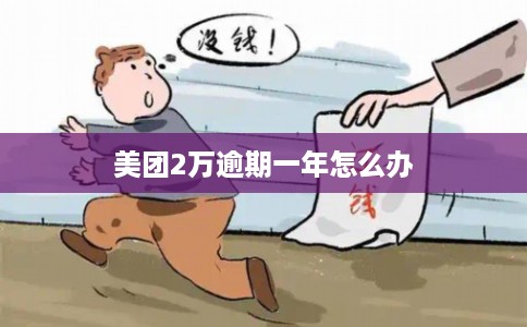 美团2万逾期一年怎么办