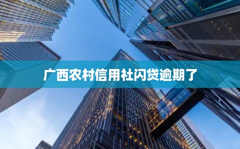 广西农村信用社闪贷逾期了