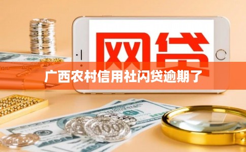 广西农村信用社闪贷逾期了