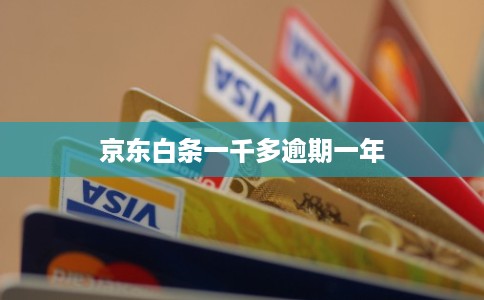 京东白条一千多逾期一年