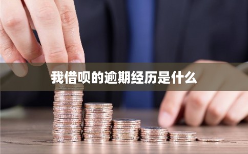 我借呗的逾期经历是什么