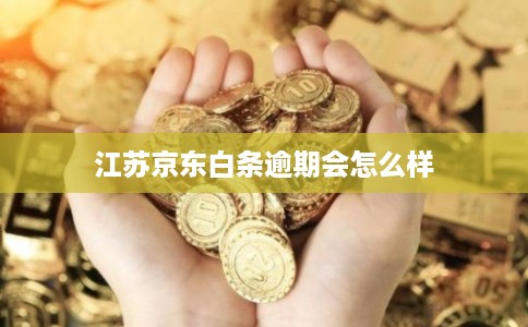 江苏京东白条逾期会怎么样