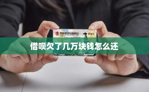 借呗欠了几万块钱怎么还