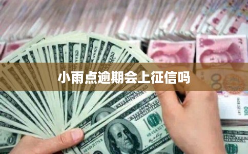 小雨点逾期会上征信吗