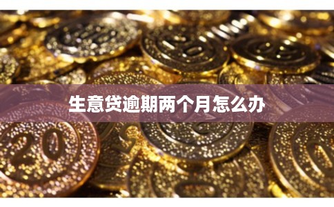 生意贷逾期两个月怎么办
