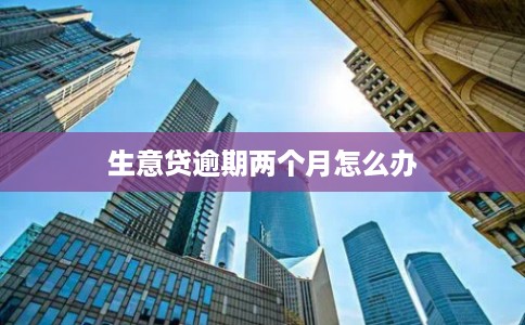 生意贷逾期两个月怎么办