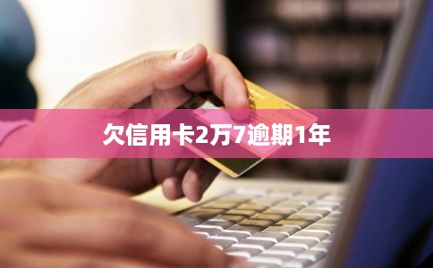欠信用卡2万7逾期1年