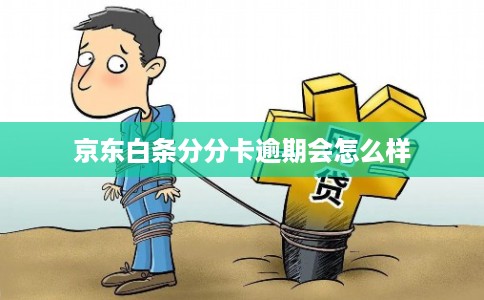 京东白条分分卡逾期会怎么样