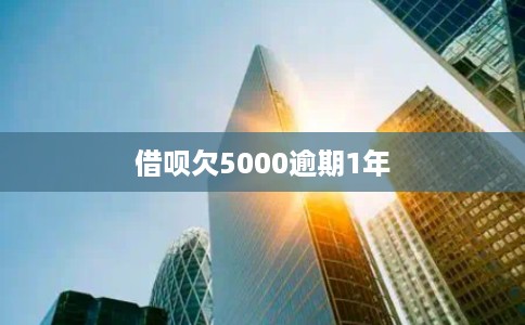 借呗欠5000逾期1年