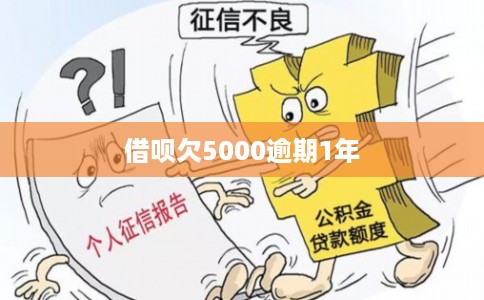 借呗欠5000逾期1年