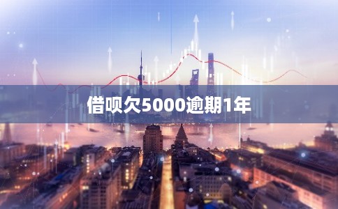 借呗欠5000逾期1年