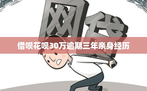 借呗花呗30万逾期三年亲身经历