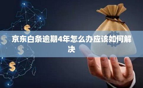 京东白条逾期4年怎么办应该如何解决