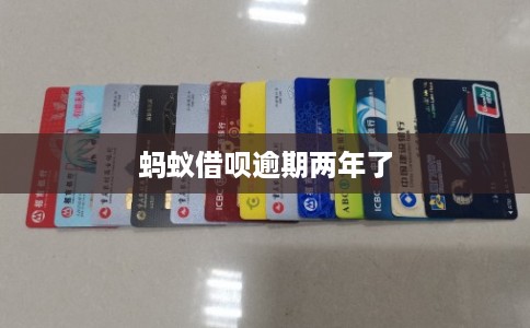 蚂蚁借呗逾期两年了