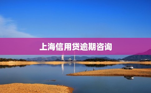 上海信用贷逾期咨询