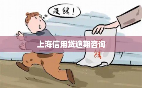 上海信用贷逾期咨询