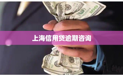 上海信用贷逾期咨询