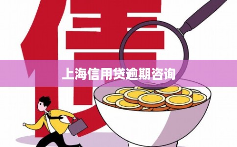 上海信用贷逾期咨询