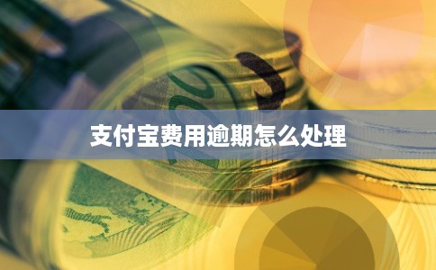 支付宝费用逾期怎么处理