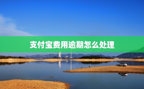 支付宝费用逾期怎么处理