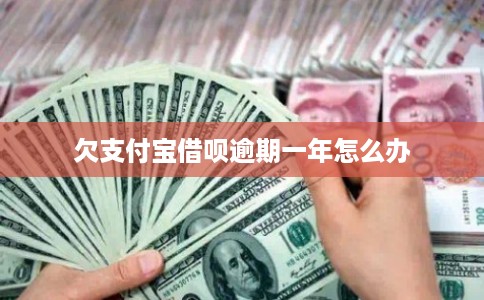 欠支付宝借呗逾期一年怎么办