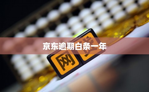 京东逾期白条一年