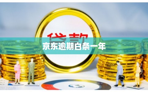 京东逾期白条一年