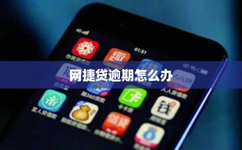 网捷贷逾期怎么办