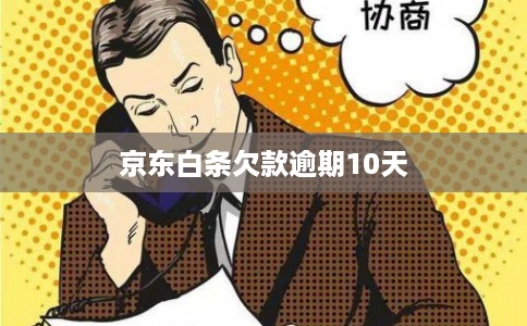 京东白条欠款逾期10天