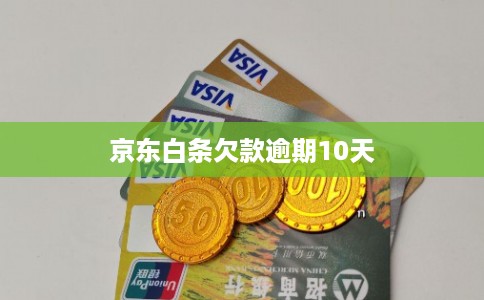 京东白条欠款逾期10天