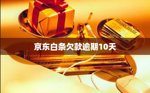 京东白条欠款逾期10天