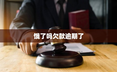 饿了吗欠款逾期了