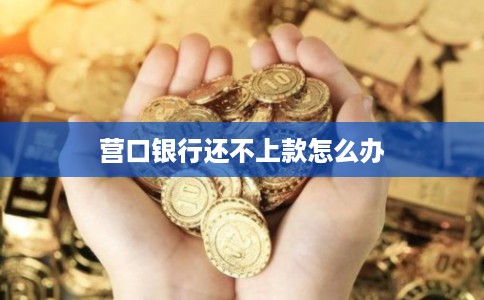营口银行还不上款怎么办